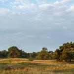 Langs grafheuvels en zandduinen