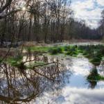 Wandeltocht Kempen-Broek in een notendop