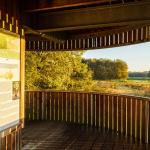 Herfstige boswandeling