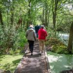 Wandeling in Tösch-Langeren: in de herfst zijn de kleuren op zijn verfst