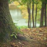 Beleef natuur - Wandeling met natuurgids - KERST