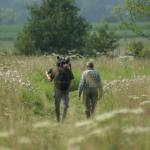 Insecten- en ander-klein-grut-wandeling