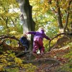 Natuurspeurdertjes: Op herfstsafari