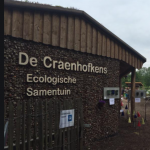 Ochtendwandeling in de vallei van de Grote Beek.