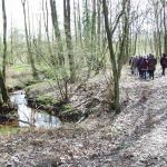 Stevige stapwandeling door de Koerselse bossen - ca 10 km