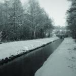 Winterwandeling doorheen de Stiemerbeekvallei