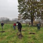 Natuurklussen Winterbeek Hoeselt