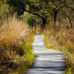 Beleef natuur - Wandeling met natuurgids - NATUUR & GEZONDHEID