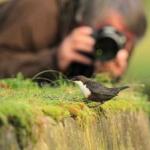 Cursus Natuurfotografie voor groentjes (Lummen)