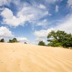 Landduinenwandeling aan de Oudsberg