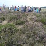 Ontdek het paarse landschap