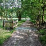 Zomerwandeling doorheen de Stiemerbeekvallei