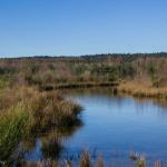 Natuurburen: steek je handen uit de mouwen in Tösch-Langeren