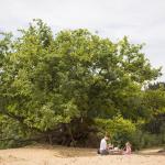 Lentewandeling in Duinengordel