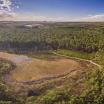 WO1 wandeling Mechelse heide