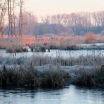 Beheerwerken in Sint-Maartensheide - De Luysen