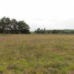 Natuur- en landschapswandeling: ‘Verhalen op de heide’ -  Vallei van de Ziepbeek te Opgrimbie (Maasmechelen)