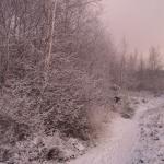 Wandeling in de Maten: Sporen in de sneeuw?