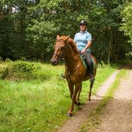 Riding horses and driving carriages