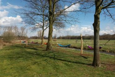 From forest bathing to relaxing in a hammock