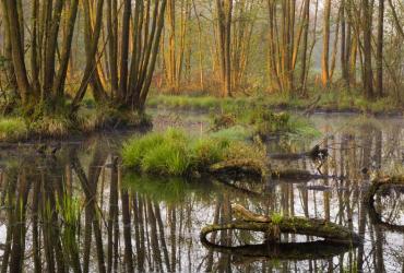 Wandel in het spoor van smokkelaars