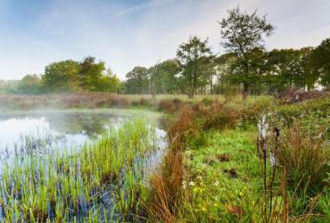 Geen erkenning als landschapspark