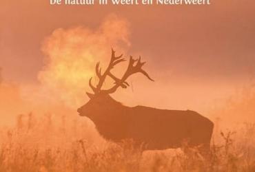 Boek 'Het eiland van Weert'