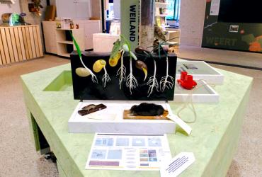 nieuwe tentoonstelling bij Natuur en Milieu Centrum Weert 