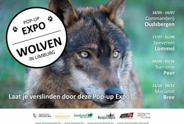 Bezoek Expo 'Wolven in Limburg' met Verkenner