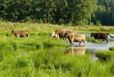 Gele route Smeetshof en rode route De Kempen
