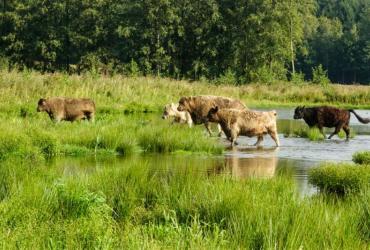 Gele route Smeetshof en rode route De Kempen