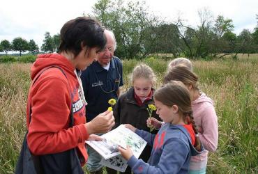 Field Lessons