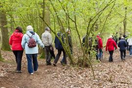 Wandelboxen